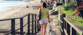 Hond op vakantie op het strand
